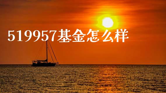 519957基金怎么样_https://m.lcpcjs.com_恒指期货保证金_第1张