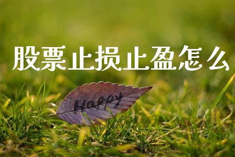 股票止损止盈怎么_https://m.lcpcjs.com_恒指期货保证金_第1张