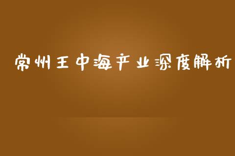 常州王中海产业深度解析_https://m.lcpcjs.com_白银期货保证金_第1张