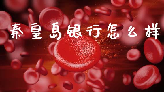 秦皇岛银行怎么样_https://m.lcpcjs.com_恒指期货保证金_第1张