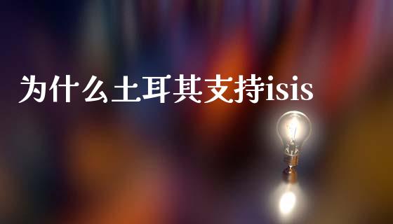 为什么土耳其支持isis_https://m.lcpcjs.com_期货交易时间_第1张