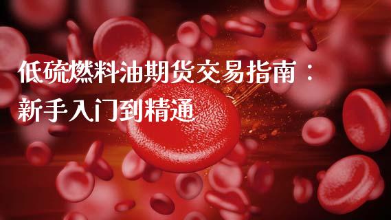 低硫燃料油期货交易指南：新手入门到精通_https://m.lcpcjs.com_期货交易_第1张