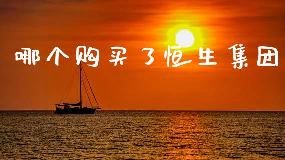 哪个购买了恒生集团_https://m.lcpcjs.com_白银期货保证金_第1张