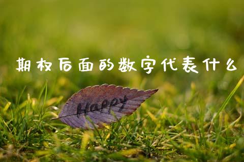 期权后面的数字代表什么_https://m.lcpcjs.com_期货交易_第1张