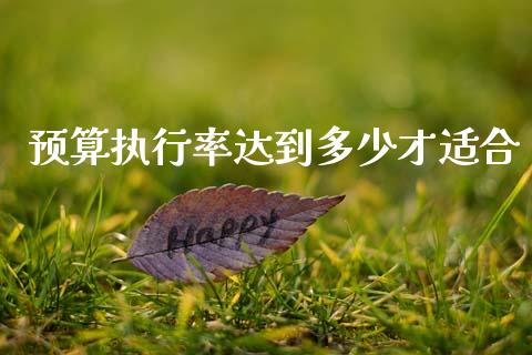 预算执行率达到多少才适合_https://m.lcpcjs.com_期货交易时间_第1张