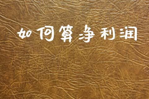 如何算净利润_https://m.lcpcjs.com_期货交易_第1张