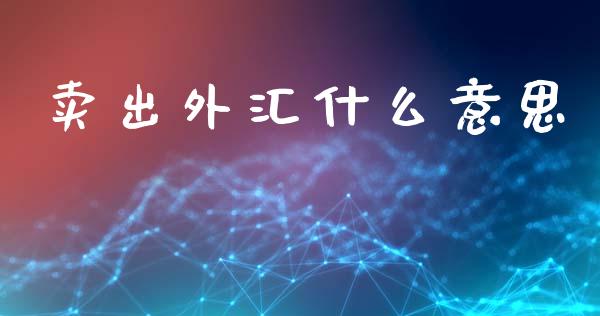 卖出外汇什么意思_https://m.lcpcjs.com_白银期货保证金_第1张