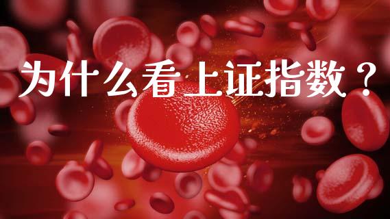 为什么看上证指数？_https://m.lcpcjs.com_期货交易_第1张