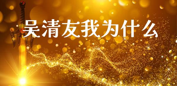吴清友我为什么_https://m.lcpcjs.com_期货交易时间_第1张