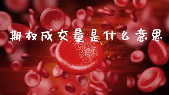 期权成交量是什么意思_https://m.lcpcjs.com_白银期货保证金_第1张