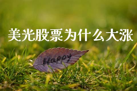 美光股票为什么大涨_https://m.lcpcjs.com_白银期货保证金_第1张