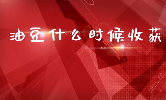油豆什么时候收获_https://m.lcpcjs.com_恒指期货保证金_第1张