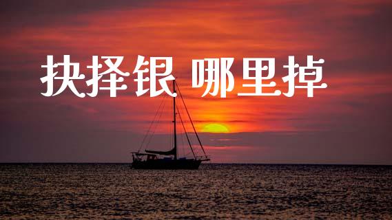 抉择银 哪里掉_https://m.lcpcjs.com_白银期货保证金_第1张