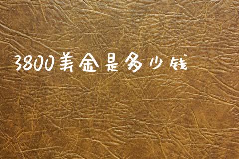 3800美金是多少钱_https://m.lcpcjs.com_恒指期货保证金_第1张