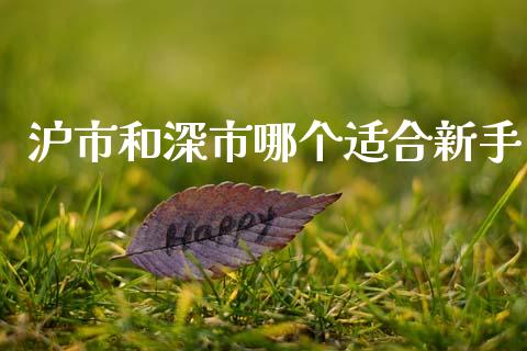 沪市和深市哪个适合新手_https://m.lcpcjs.com_期货交易时间_第1张