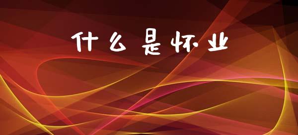 什么是怀业_https://m.lcpcjs.com_白银期货保证金_第1张