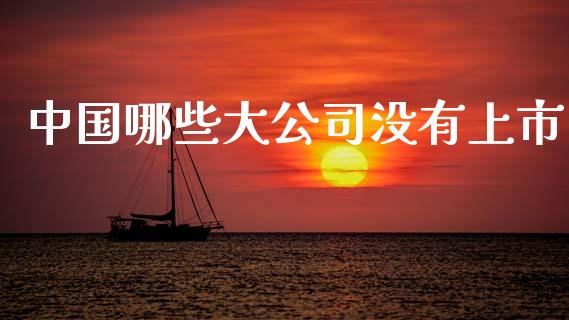 中国哪些大公司没有上市_https://m.lcpcjs.com_白银期货保证金_第1张