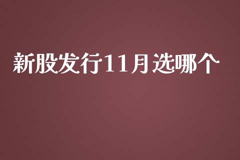 新股发行11月选哪个_https://m.lcpcjs.com_期货交易_第1张
