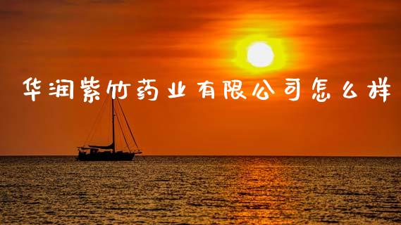 华润紫竹药业有限公司怎么样_https://m.lcpcjs.com_恒指期货保证金_第1张