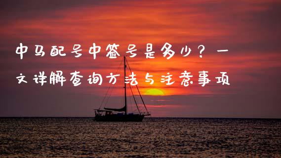 中马配号中签号是多少？一文详解查询方法与注意事项_https://m.lcpcjs.com_恒指期货保证金_第1张