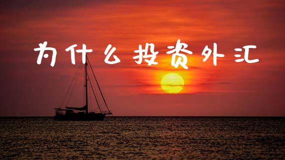 为什么投资外汇_https://m.lcpcjs.com_恒指期货保证金_第1张