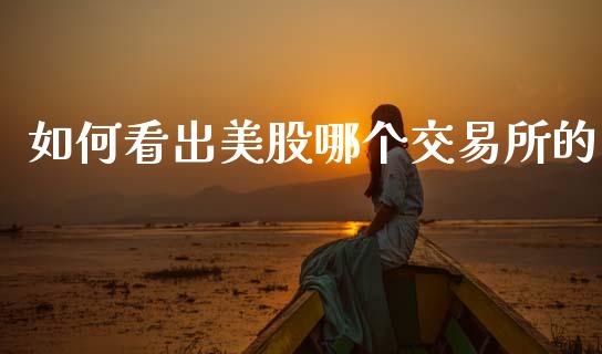 如何看出美股哪个交易所的_https://m.lcpcjs.com_期货交易_第1张