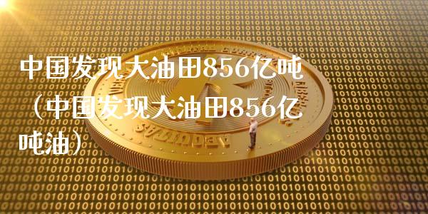 中国发现大油田856亿吨（中国发现大油田856亿吨油）_https://m.lcpcjs.com_期货交易_第1张