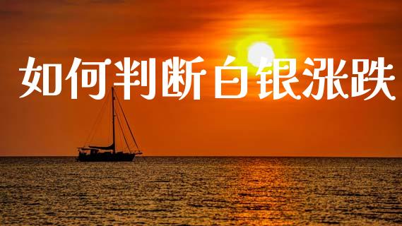 如何判断白银涨跌_https://m.lcpcjs.com_恒指期货保证金_第1张
