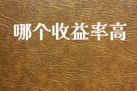 哪个收益率高_https://m.lcpcjs.com_恒指期货保证金_第1张