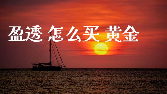 盈透 怎么买 黄金_https://m.lcpcjs.com_期货交易_第1张