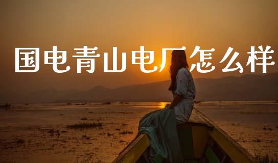 国电青山电厂怎么样_https://m.lcpcjs.com_白银期货保证金_第1张