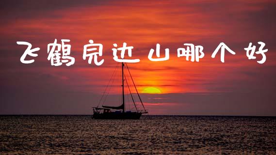 飞鹤完达山哪个好_https://m.lcpcjs.com_期货交易_第1张