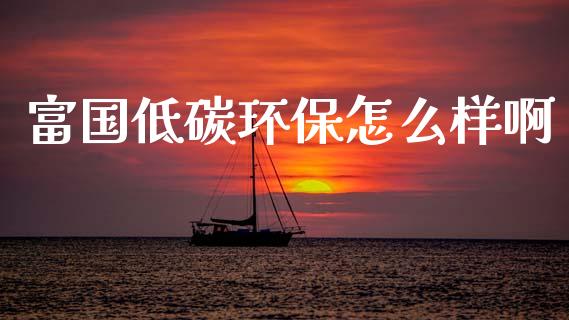 富国低碳环保怎么样啊_https://m.lcpcjs.com_白银期货保证金_第1张