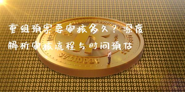 重组预案要审核多久？深度解析审核流程与时间预估_https://m.lcpcjs.com_期货交易时间_第1张