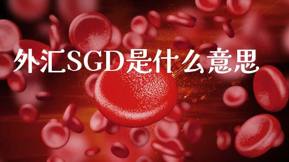 外汇SGD是什么意思_https://m.lcpcjs.com_期货交易时间_第1张