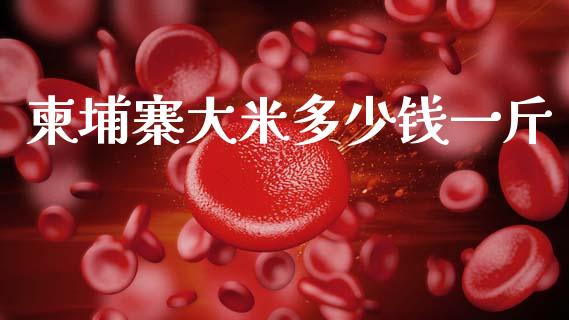 柬埔寨大米多少钱一斤_https://m.lcpcjs.com_期货交易时间_第1张