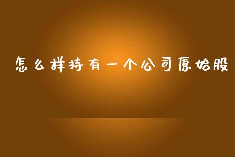 怎么样持有一个公司原始股_https://m.lcpcjs.com_期货交易_第1张