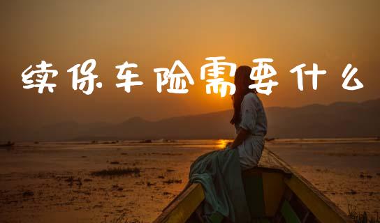 续保车险需要什么_https://m.lcpcjs.com_白银期货保证金_第1张