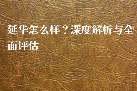 延华怎么样？深度解析与全面评估_https://m.lcpcjs.com_恒指期货保证金_第1张