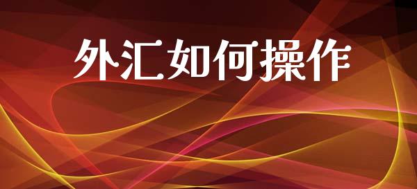 外汇如何操作_https://m.lcpcjs.com_恒指期货保证金_第1张