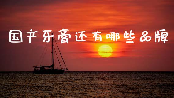国产牙膏还有哪些品牌_https://m.lcpcjs.com_白银期货保证金_第1张