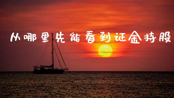 从哪里先能看到证金持股_https://m.lcpcjs.com_期货交易_第1张