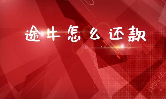 途牛怎么还款_https://m.lcpcjs.com_期货交易时间_第1张
