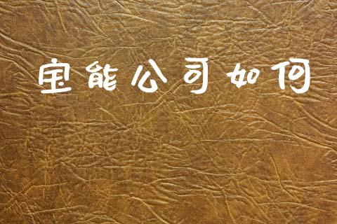 宝能公司如何_https://m.lcpcjs.com_白银期货保证金_第1张