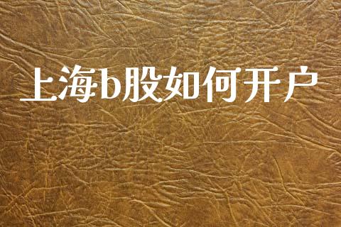 上海b股如何开户_https://m.lcpcjs.com_恒指期货保证金_第1张