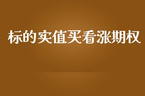 标的实值买看涨期权_https://m.lcpcjs.com_白银期货保证金_第1张