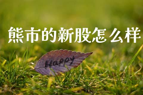 熊市的新股怎么样_https://m.lcpcjs.com_期货交易_第1张