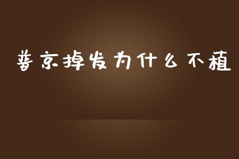 普京掉发为什么不植_https://m.lcpcjs.com_期货交易时间_第1张