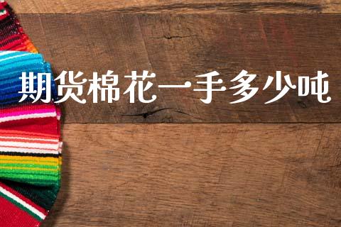 期货棉花一手多少吨_https://m.lcpcjs.com_恒指期货保证金_第1张