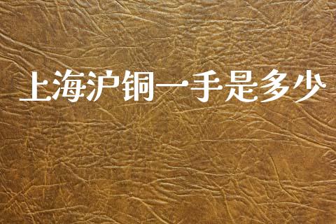 上海沪铜一手是多少_https://m.lcpcjs.com_恒指期货保证金_第1张